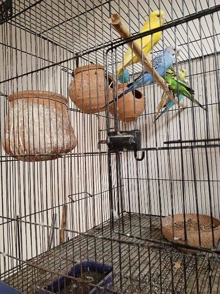 Australia 17 parrot with cage, final 18 k. 1000 ki jore b ly skty h 1