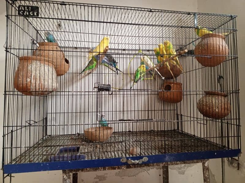 Australia 17 parrot with cage, final 18 k. 1000 ki jore b ly skty h 3