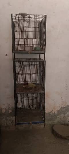3pates cage 1.5by 1.5 Size