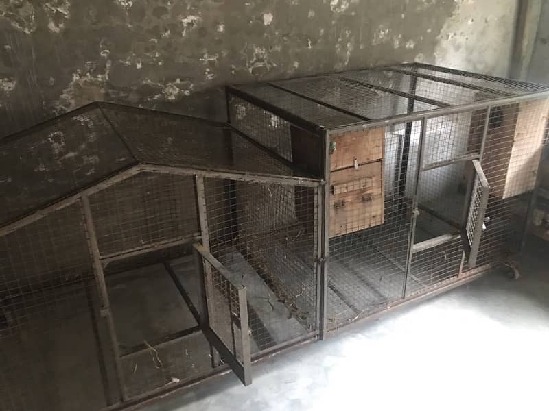 Double Cage For Birds 1