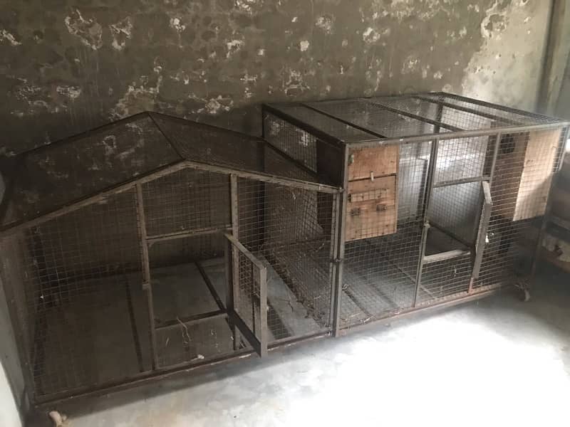 Double Cage For Birds 2