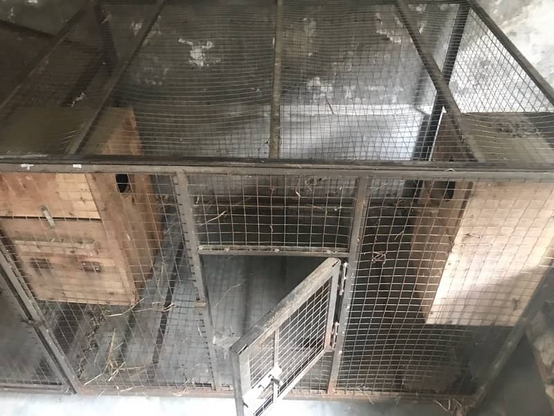 Double Cage For Birds 3