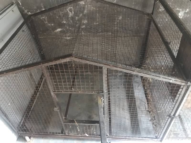 Double Cage For Birds 4