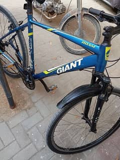 stainless steel giant gear bicycle