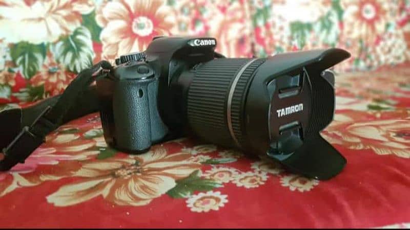 Canon D650 3