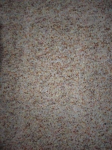 Beautiful 9 ft × 12 ft camel colored carpet for sale 1