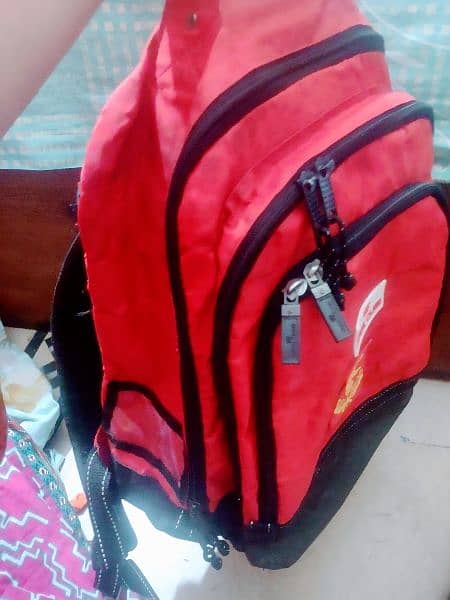 travel bag 1