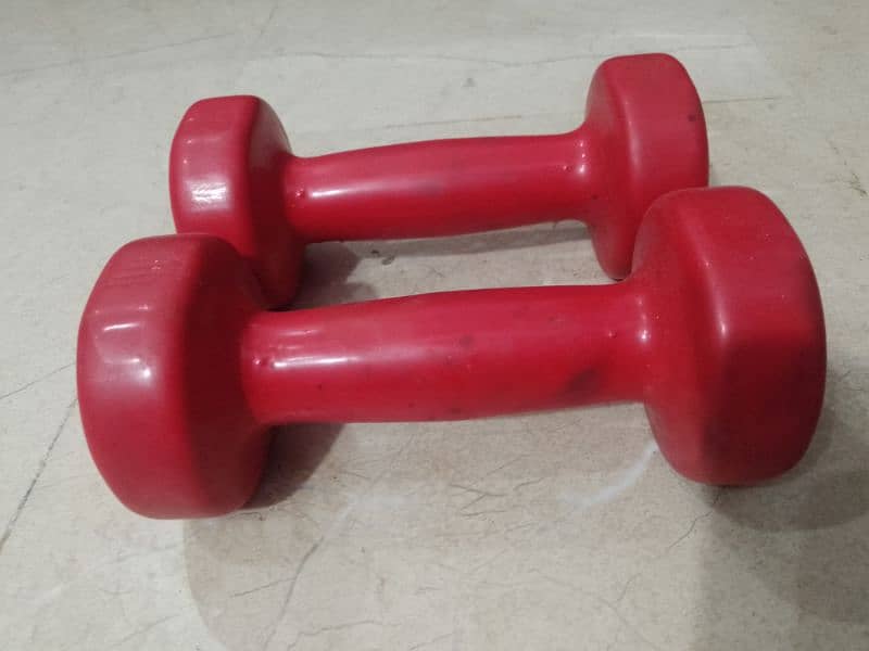 dumbbell 2 kg Huijun 6