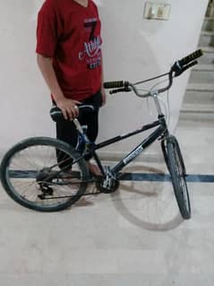 Used Bicycle, bmx look