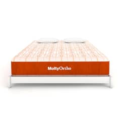 Master Molty ortho mattress