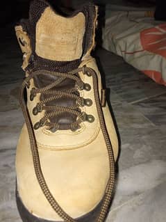 timberland untouched condition 10/10