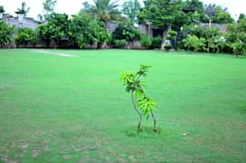 farm house for rent in lahore Eid vacation family dinner get togather