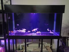 aquarium for sale 80000  price achi offer lgao or ly jao