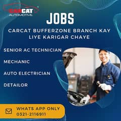 car mechanic, electrician or AC technician job