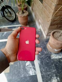 IPhone SE 2020 64 GB RED COLOR