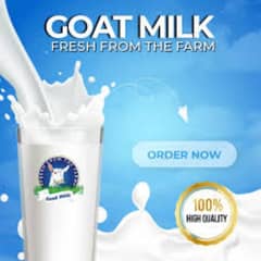 pure goats milk