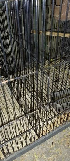 Birdes cage 0