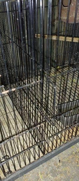 Birdes cage 0