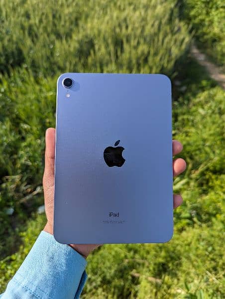 ipad mani 6 condition 10by 10 0