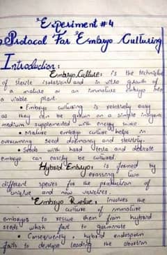 Hand Writting Assignment in Cheapest Rate.