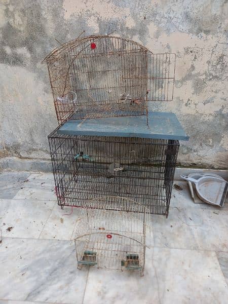 3 cage for sale 2 desi egg lying hens 1