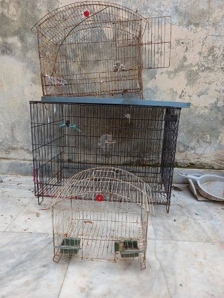 3 cage for sale 2 desi egg lying hens 2