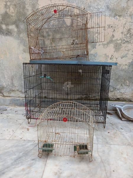 3 cage for sale 2 desi egg lying hens 3