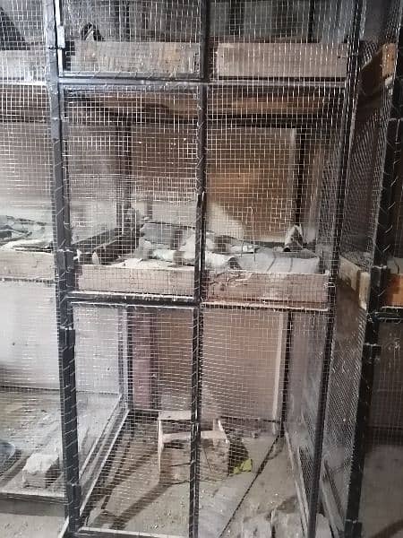 bird cages  quantity 6 . . selling each of 15000 2