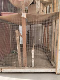 Used cage for parrots and hens