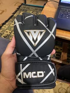 Boxing Gloves Large