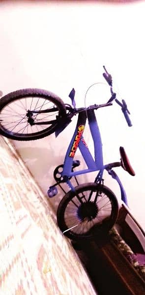cycle used 1