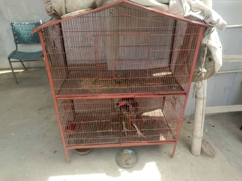 Cage for sell good condition 0