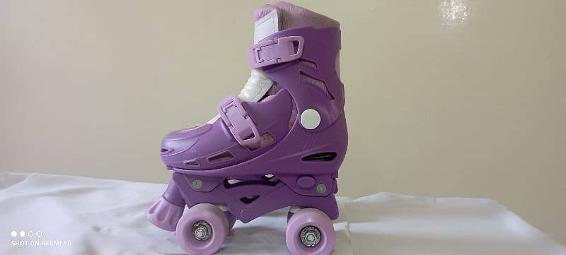 Skating Shoes 1