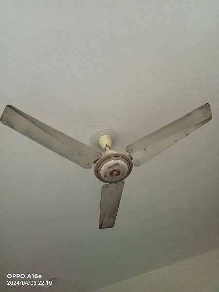 celling fan old - Fans - 1085950367