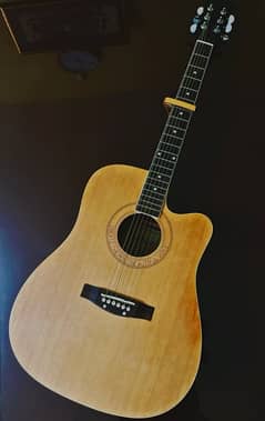Professional Acoustic Guitar