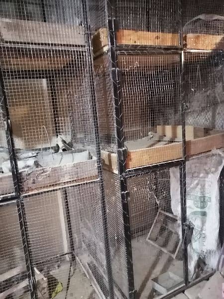bird cages  quantity 6 . . selling each of 15000 8