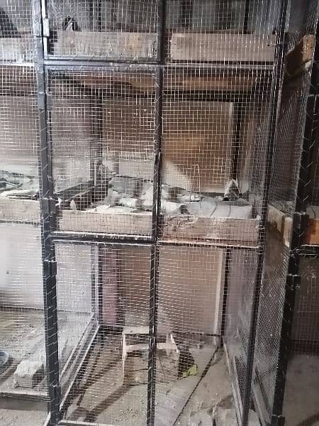 bird cages  quantity 6 . . selling each of 15000 9