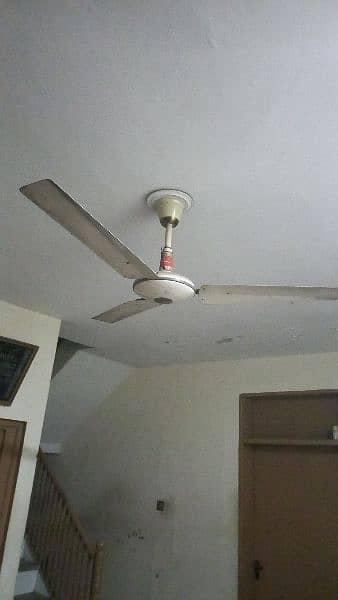 Home use Ceiling Fans for sale 1