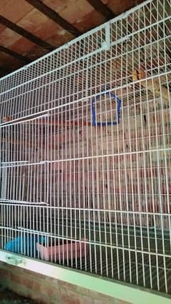 2 birds cage for sale
