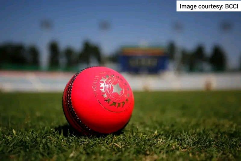 Pink & Red & White  cricket Ball available Top Quality 8