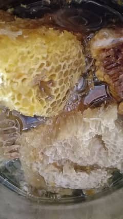 Fresh pure Honey