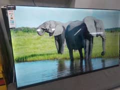 55 INCH TCL 4K UHD IPS DISPLAY WOFFER SOUND 03334155206