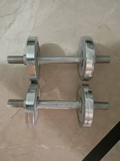 Dumbells and chrome Plates