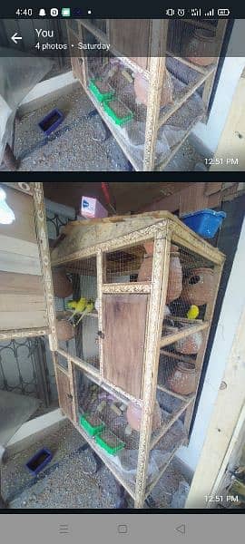 Pure Solid Wood Cage 3