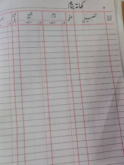 NEED AN ACCOUNTANT WHO MANAGE LEDGERA MANUAL ND COMPUTERISED