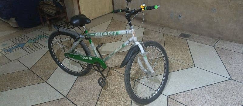 new bicycle 1