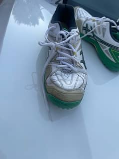 asics gel cricket spike shoes with extra rubber nails.