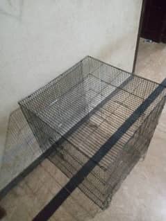 bird cage  for sale only only one week used .
