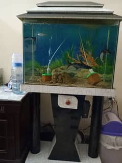 aquarium with 5 fishes and 2 filters complete packge just 15000