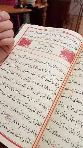 Holy Quran Tutor 3